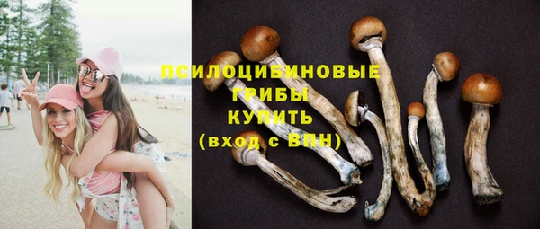 амф Каменск-Шахтинский