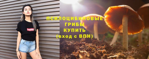 синтетический гашиш Каменка
