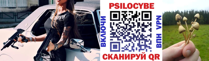 Купить закладки  Верхоянск  Псилоцибиновые грибы мицелий 